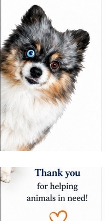Pawsitive Auto mascot dog with a thank-you message
